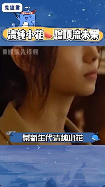 八卦直播娱乐吃瓜,娱乐吃瓜，揭秘娱乐圈幕后故事