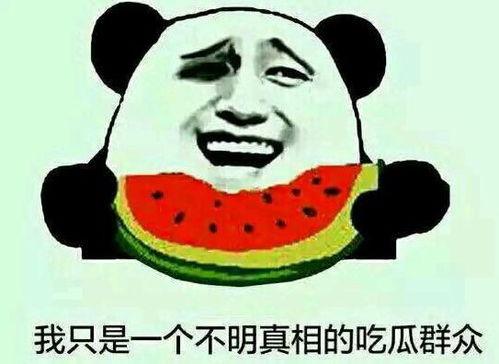 娱乐吃瓜酱你为什么晕车,揭秘晕车背后的趣味真相