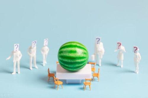 娱乐吃瓜汇,揭秘娱乐圈最新热点事件