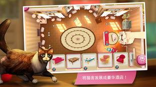 娱乐吃瓜君猫咪,揭秘娱乐圈的萌宠生活