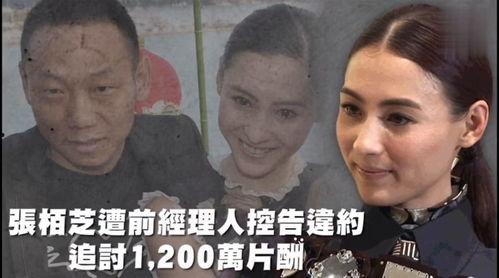 话说娱乐吃瓜仔,揭秘娱乐圈吃瓜仔背后的故事